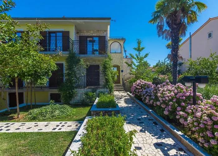 Complex Dolce Maro 波雷奇